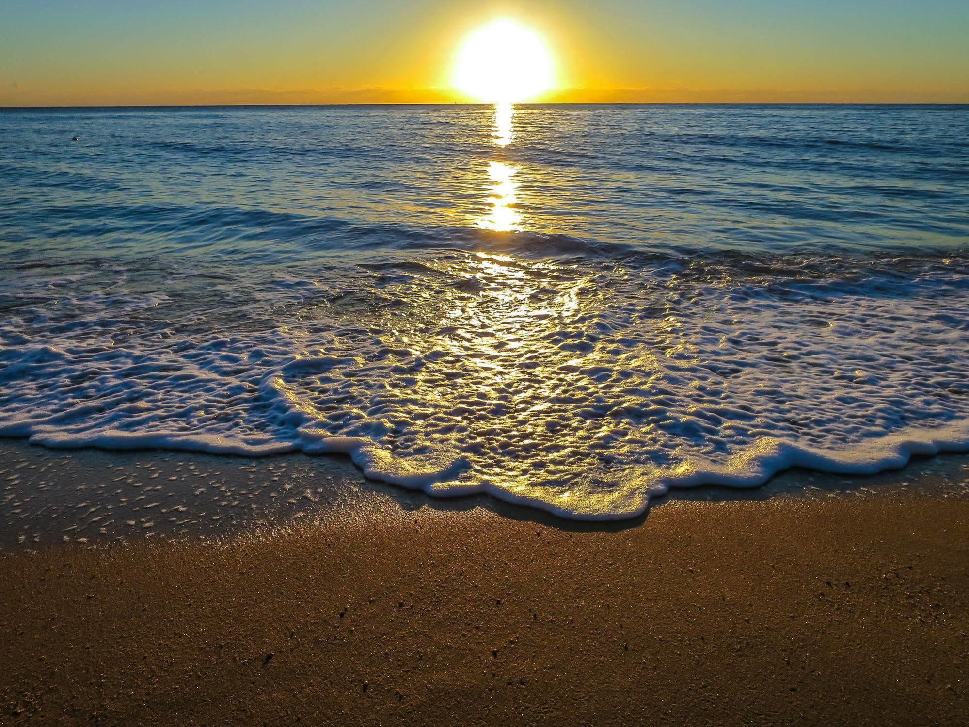טריניטי ביץ' Roydon Beachfront Apartments מראה חיצוני תמונה